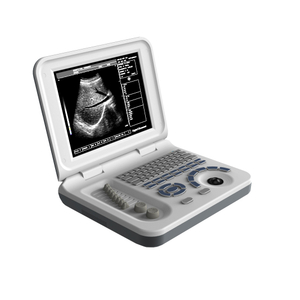 PT-300 LED Portable Ultrasound Scanner