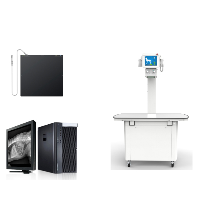 D32DR 400mA Digital X-ray System for Veterinary