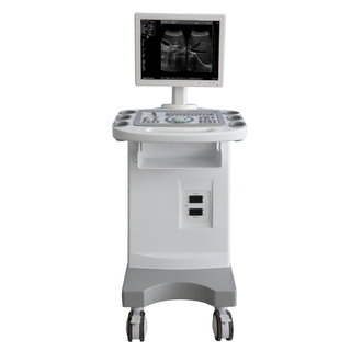 PT6605 B&W Trolley Ultrasound Scanner