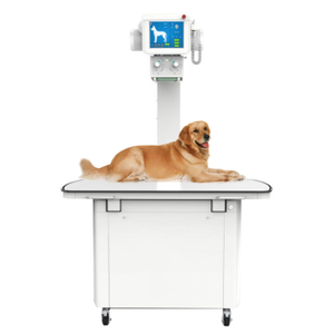 D32DR 400mA Digital X-ray System for Veterinary