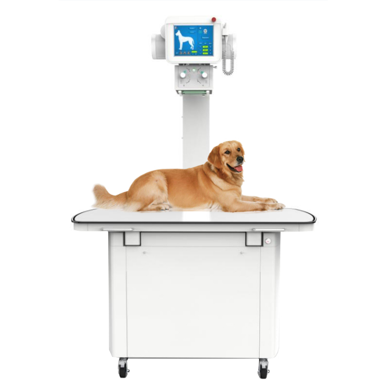 D32DR 400mA Digital X-ray System for Veterinary