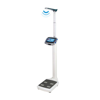 BFLA Body Scale