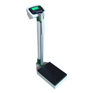 Electronic Body Scale